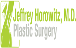 horowitz-logo